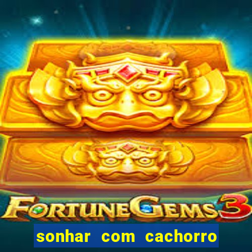 sonhar com cachorro numeros da mega sena